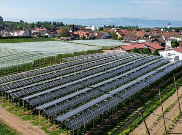 Brandenburg - Projekt der Merkur Solar GmbH